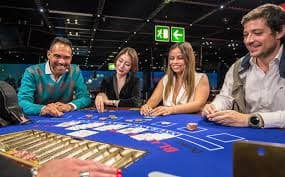 casino cricket