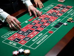 casino cricket